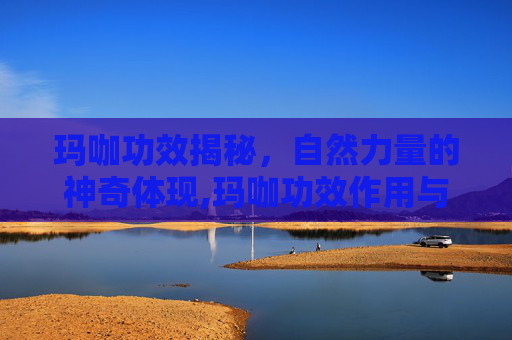 玛咖功效揭秘，自然力量的神奇体现,玛咖功效作用与主治功能