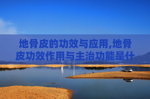 地骨皮的功效与应用,地骨皮功效作用与主治功能是什么