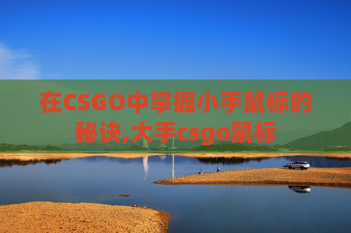 在CSGO中掌握小手鼠标的秘诀,大手csgo鼠标