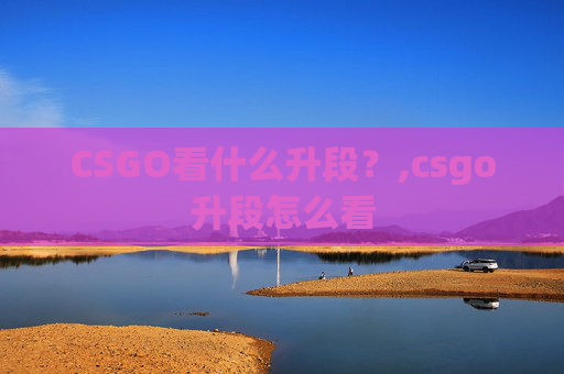 CSGO看什么升段？,csgo升段怎么看