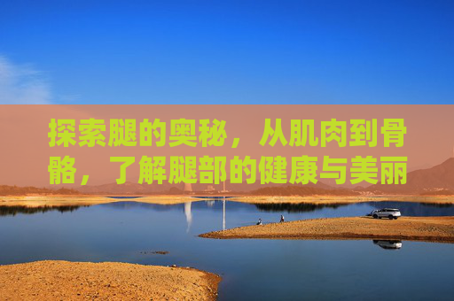 探索腿的奥秘，从肌肉到骨骼，了解腿部的健康与美丽,腿腿羽毛球个人资料简介
