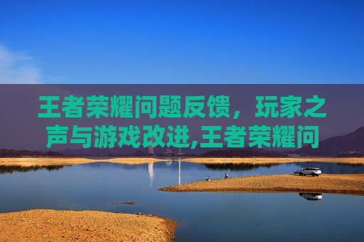王者荣耀问题反馈，玩家之声与游戏改进,王者荣耀问题反馈