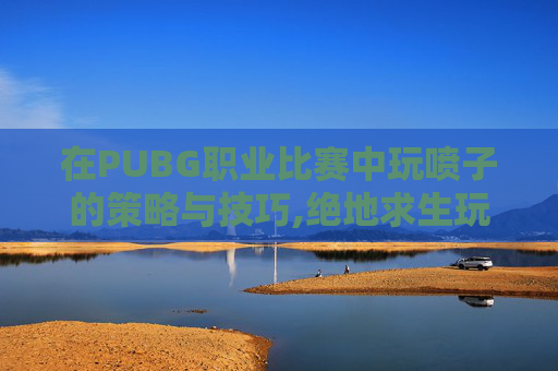 在PUBG职业比赛中玩喷子的策略与技巧,绝地求生玩喷子的主播