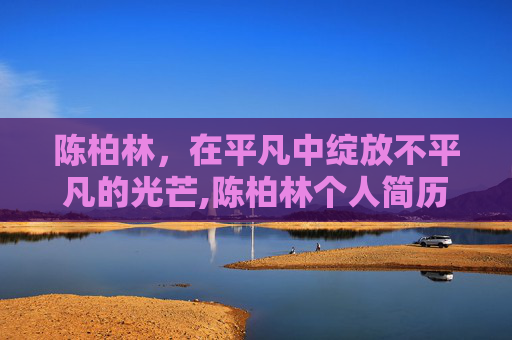 陈柏林，在平凡中绽放不平凡的光芒,陈柏林个人简历