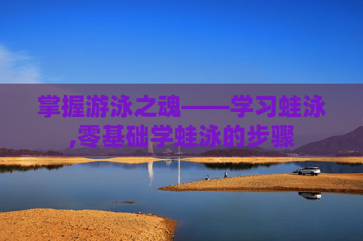 掌握游泳之魂——学习蛙泳,零基础学蛙泳的步骤