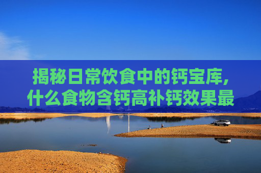 揭秘日常饮食中的钙宝库,什么食物含钙高补钙效果最好