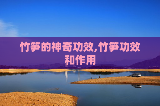 竹笋的神奇功效,竹笋功效和作用