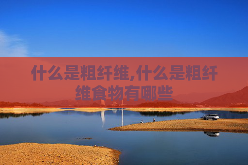 什么是粗纤维,什么是粗纤维食物有哪些