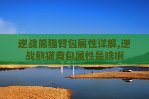 逆战熊猫背包属性详解,逆战熊猫背包属性是啥啊