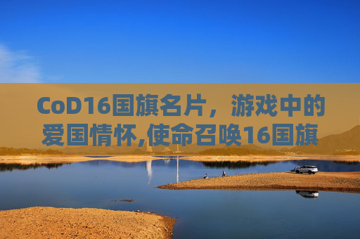 CoD16国旗名片，游戏中的爱国情怀,使命召唤16国旗名片