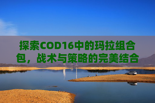探索COD16中的玛拉组合包，战术与策略的完美结合,cod16玛拉组合包