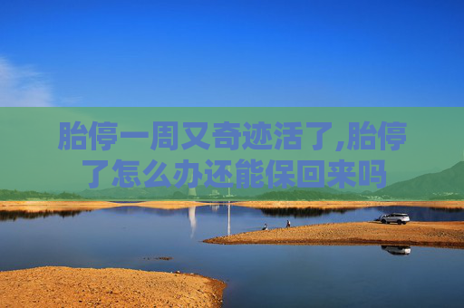 胎停一周又奇迹活了,胎停了怎么办还能保回来吗