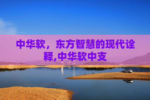 中华软，东方智慧的现代诠释,中华软中支