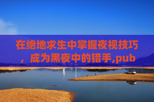 在绝地求生中掌握夜视技巧,成为黑夜中的猎手,pubg怎么卡夜视 在绝地求生中掌握夜视技巧,成为黑夜中的猎手,pubg怎么卡夜视
