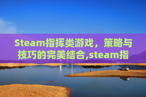 Steam指挥类游戏，策略与技巧的完美结合,steam指挥打仗的游戏