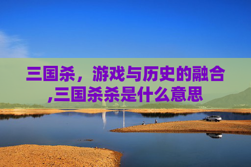 三国杀,游戏与历史的融合,三国杀杀是什么意思 三国杀,游戏与历史的融合,三国杀杀是什么意思