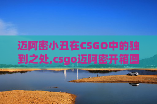 迈阿密小丑在CSGO中的独到之处,csgo迈阿密开箱图片