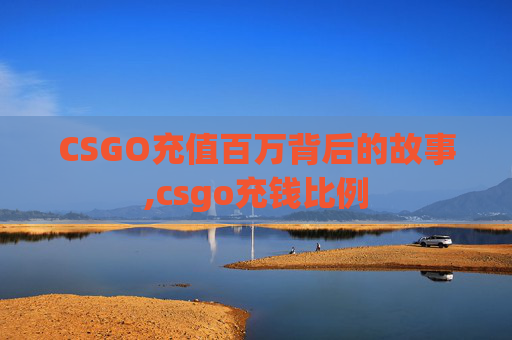 CSGO充值百万背后的故事,csgo充钱比例