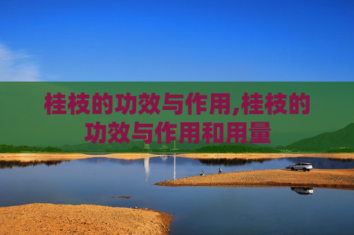 桂枝的功效与作用,桂枝的功效与作用和用量