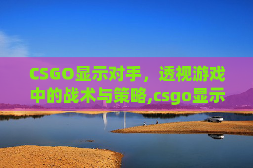 CSGO显示对手，透视游戏中的战术与策略,csgo显示对手名字