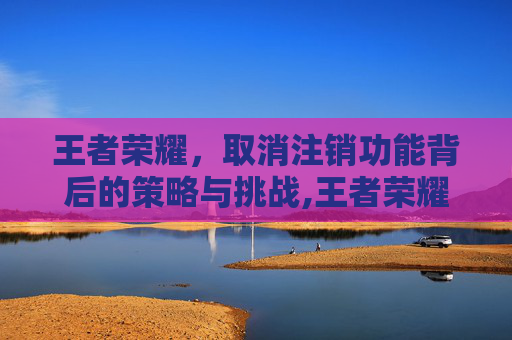 王者荣耀，取消注销功能背后的策略与挑战,王者荣耀取消注销怎么弄