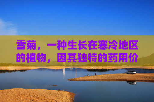 雪菊，一种生长在寒冷地区的植物，因其独特的药用价值而受到人们的广泛关注。它不仅是一种美丽的观赏植物，更具有丰富的药用功效与作用。接下来，我们将深入探讨雪菊的功效与作用，以期为读者提供更全面的认识。,雪菊的功效与作用禁忌