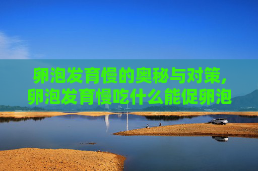 卵泡发育慢的奥秘与对策,卵泡发育慢吃什么能促卵泡发育