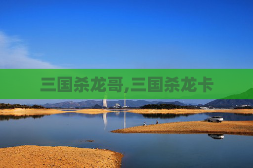 三国杀龙哥,三国杀龙卡