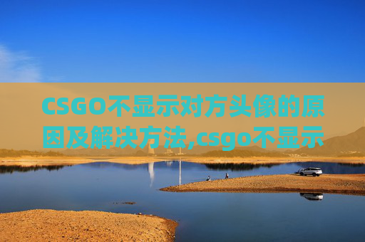 CSGO不显示对方头像的原因及解决方法,csgo不显示对方头像图标