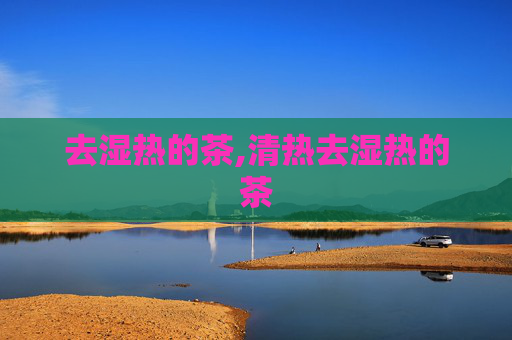去湿热的茶,清热去湿热的茶