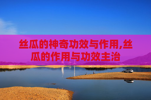丝瓜的神奇功效与作用,丝瓜的作用与功效主治