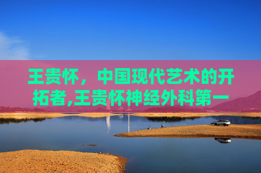 王贵怀，中国现代艺术的开拓者,王贵怀神经外科第一刀