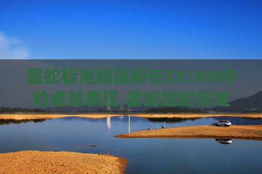 雷蛇标准版鼠标在CS:GO中的卓越表现,雷蛇蝰蛇标准版打csgo