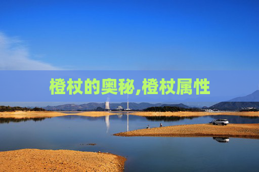 橙杖的奥秘,橙杖属性