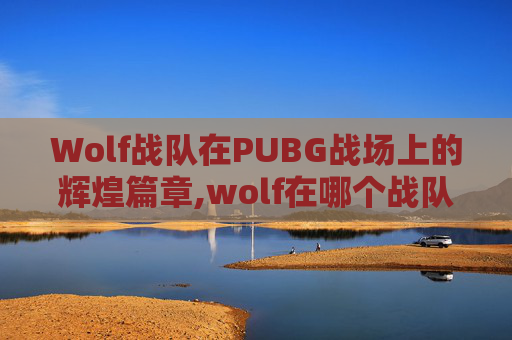 Wolf战队在PUBG战场上的辉煌篇章,wolf在哪个战队