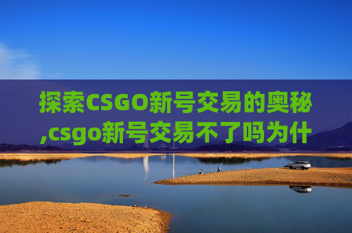 探索CSGO新号交易的奥秘,csgo新号交易不了吗为什么