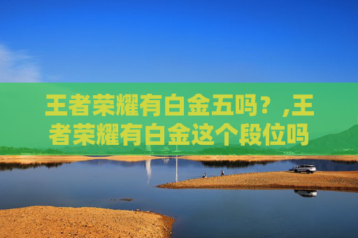 王者荣耀有白金五吗？,王者荣耀有白金这个段位吗