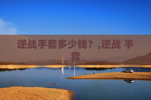 逆战手套多少钱？,逆战 手套