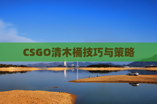 CSGO清木桶技巧与策略