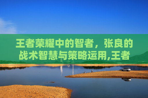 王者荣耀中的智者，张良的战术智慧与策略运用,王者荣耀 张良