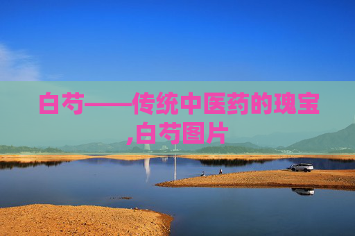 白芍——传统中医药的瑰宝,白芍图片