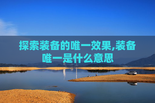 探索装备的唯一效果,装备唯一是什么意思