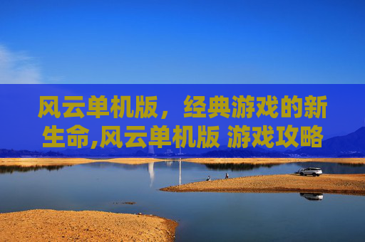 风云单机版，经典游戏的新生命,风云单机版 游戏攻略