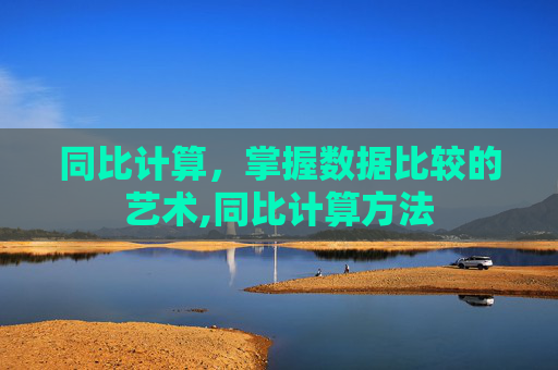 同比计算，掌握数据比较的艺术,同比计算方法