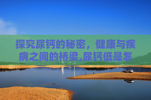 探究尿钙的秘密，健康与疾病之间的桥梁,尿钙低是怎么回事有何影响