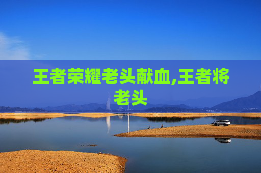王者荣耀老头献血,王者将老头