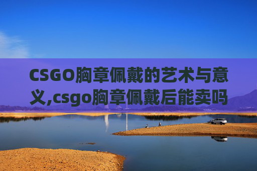 CSGO胸章佩戴的艺术与意义,csgo胸章佩戴后能卖吗