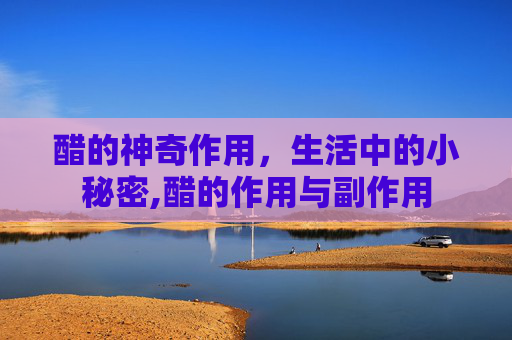醋的神奇作用，生活中的小秘密,醋的作用与副作用