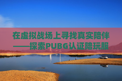 在虚拟战场上寻找真实陪伴——探索PUBG认证陪玩服务,pubg陪玩多少一个小时