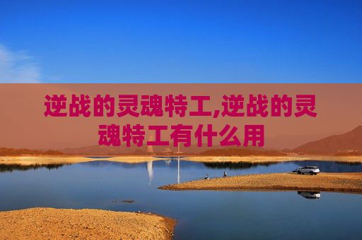 逆战的灵魂特工,逆战的灵魂特工有什么用